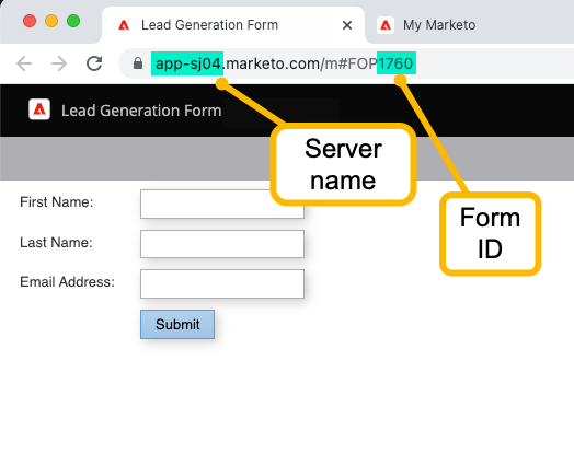 Form preview URL showing where to find server name and form ID