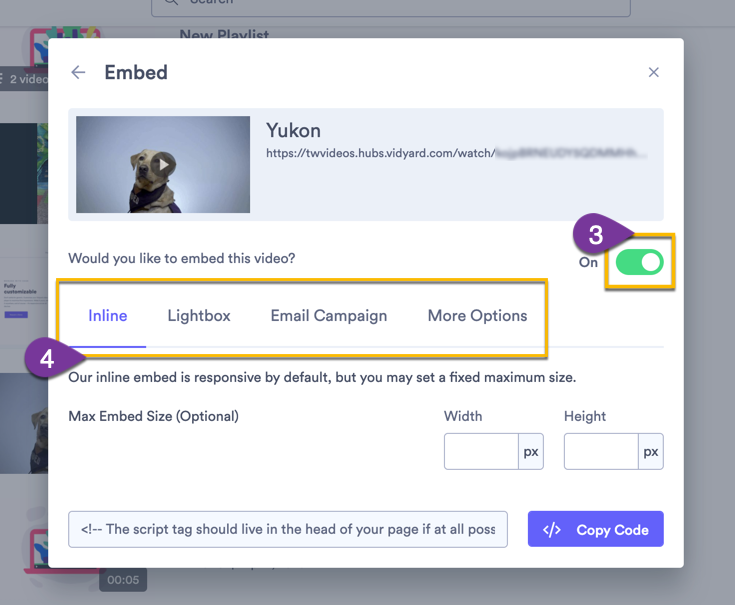 Code options to toggle on embeds and copy embed code