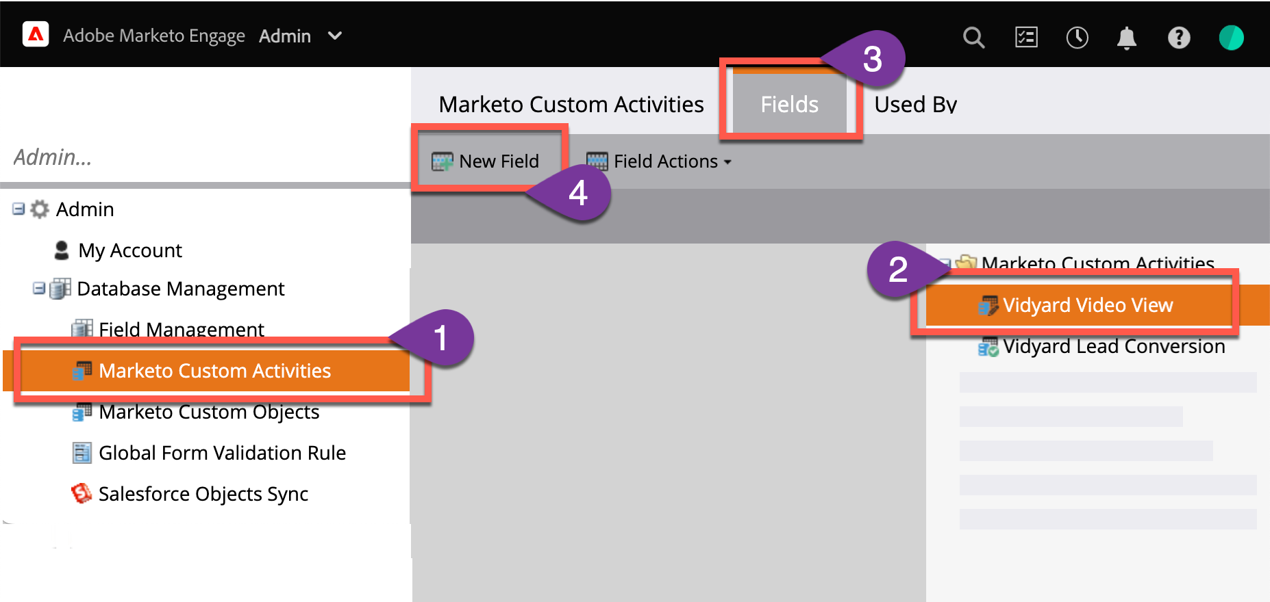 Add fields to your new custom activities for Vidyard