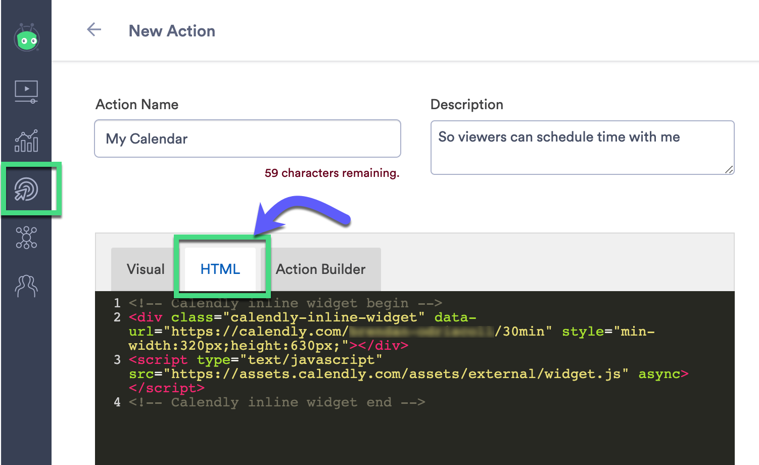 HTML section of Action edit page where embed code can be entered
