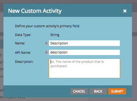 The Data Type field is a dropdown menu, the Name and API Name fields are text fields. 