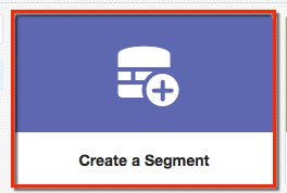 Create a segment button. 