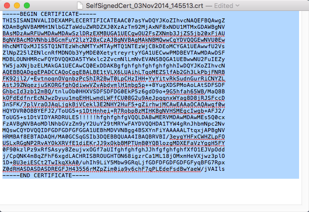 The Certificate file opened in a text editor, all the text is highlighted. 