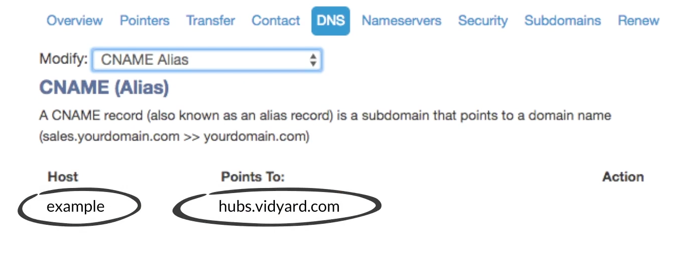 showing hubs.vidyard.com in the Points To field in your DNS settings