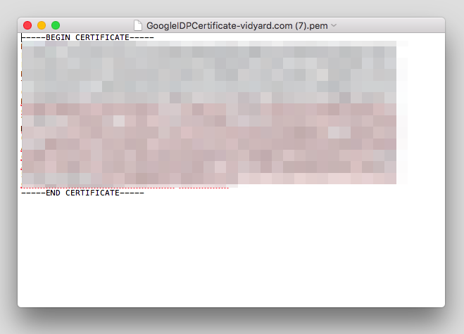 The certificate is displayed in a text only program.