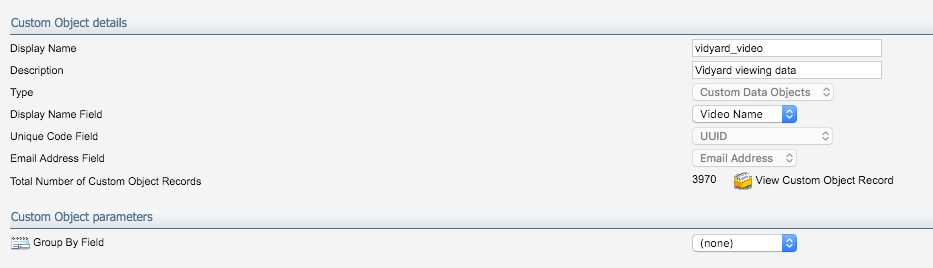 Custom Object Records details