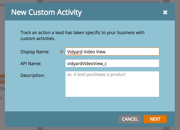 A popup window gives the Custom Activity Display Name and API name options. The API name is auto-filled.