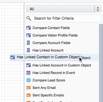 Dragging Has Linked Contact in Custom Object onto the canvas.