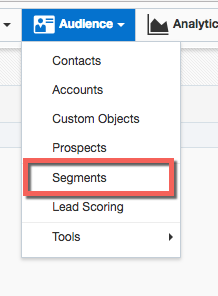 Under Audience menu, click Segments