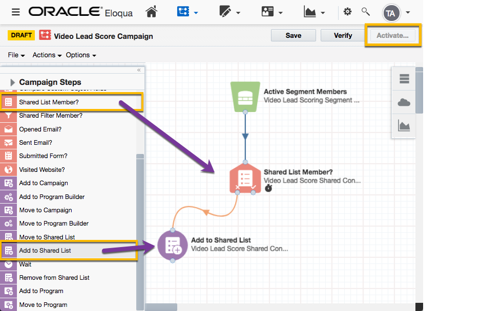 Campaign in Eloqua that adds leads that met filter criteria to a Shared Contact List