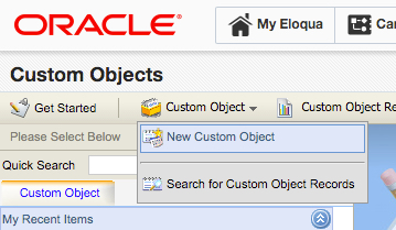 Clicking New Custom Object under the Custom Object menu.