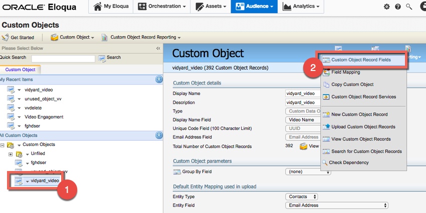 New vidyard_video custom object, plus steps to add new object fields