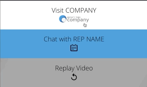 3 options for GoVideo