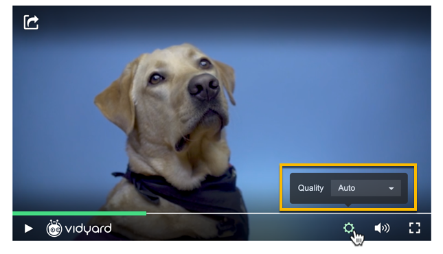 When set to 'auto', the quality setting on the Vidyard player automatically adjusts the resolution of the video