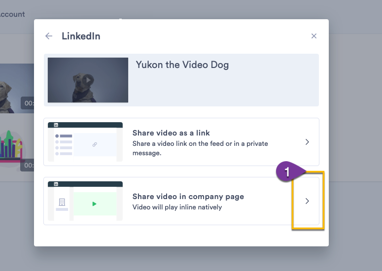 Choosing the option to share a video as a post on your company page