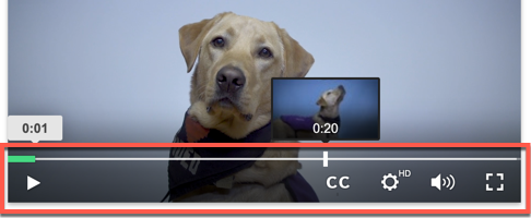 Showing the player controls that viewers use to interact with a video