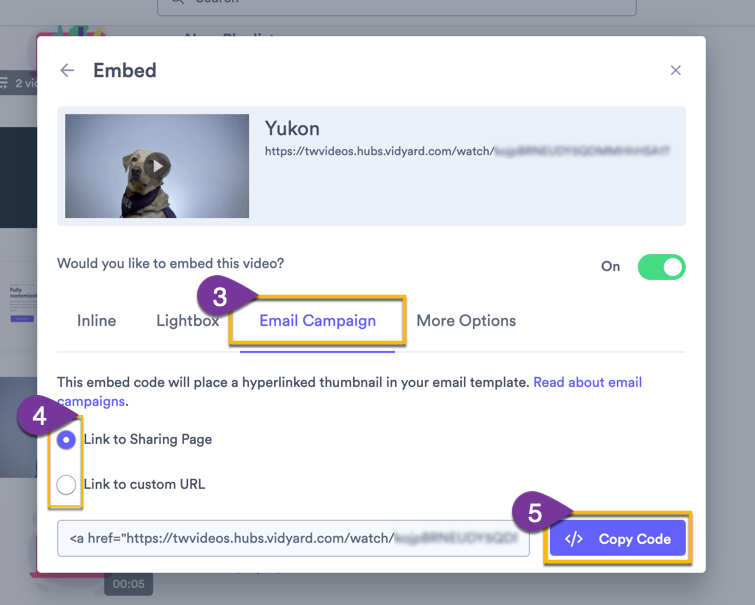 Copying the Email Campaign embed code option