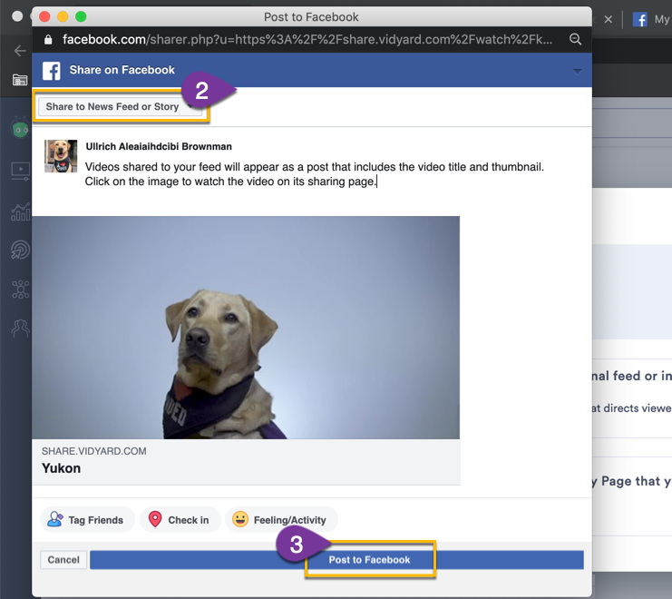 Formatting and publishing the post with the link to your video