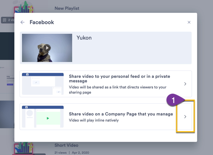 Choosing the option to share the video to a page that your Facebook account manages