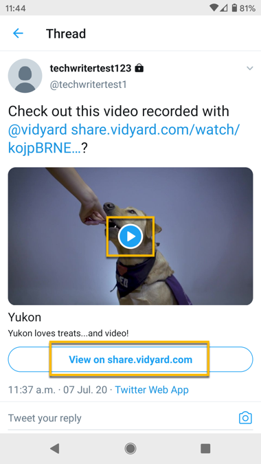 The detailed view when you select a Tweet with a video on the Twitter mobile app