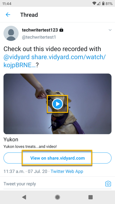 The detailed view when you select a post with a video on the X mobile app
