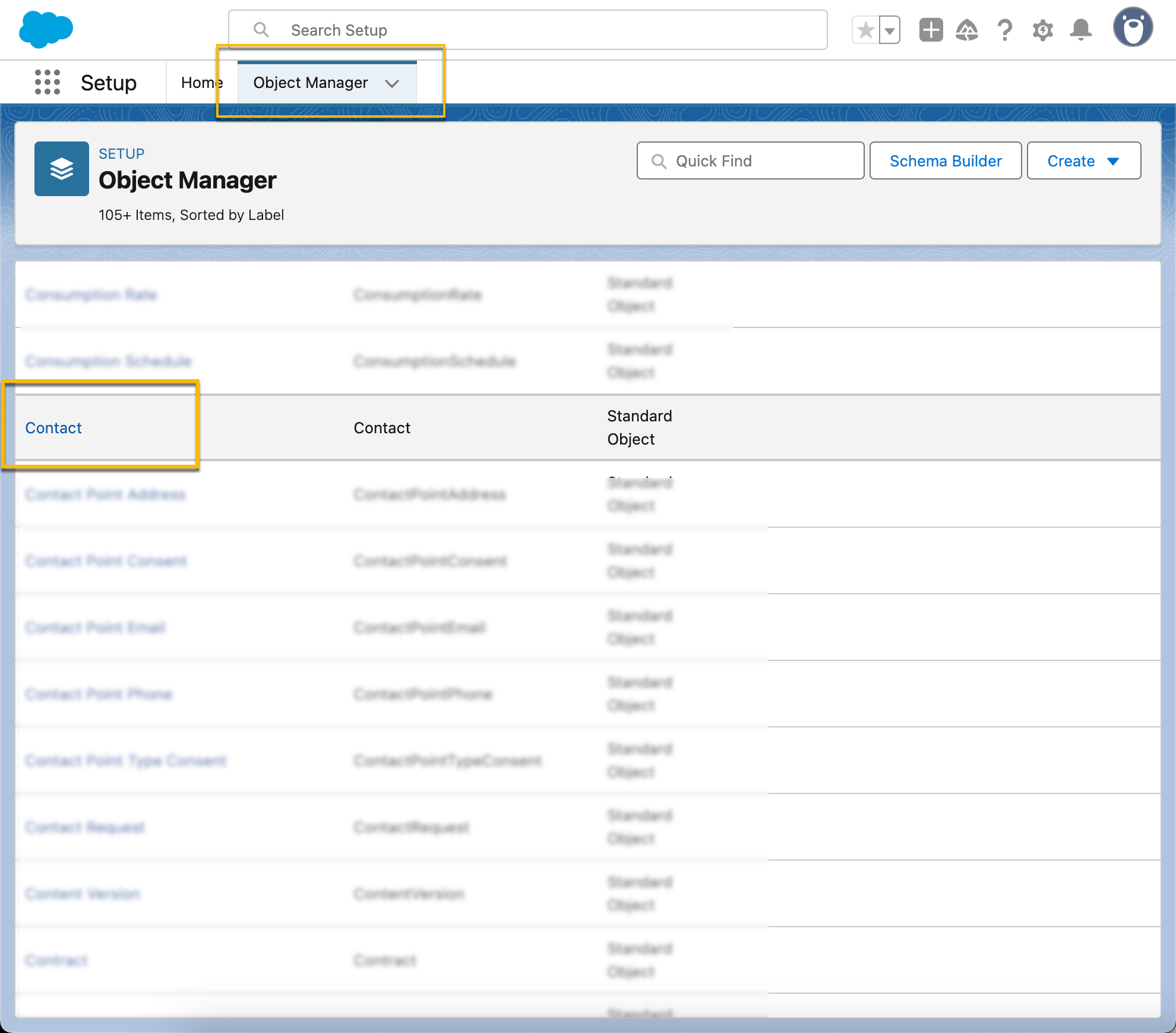 Contact object selected from list of objects in Salesforce object manager