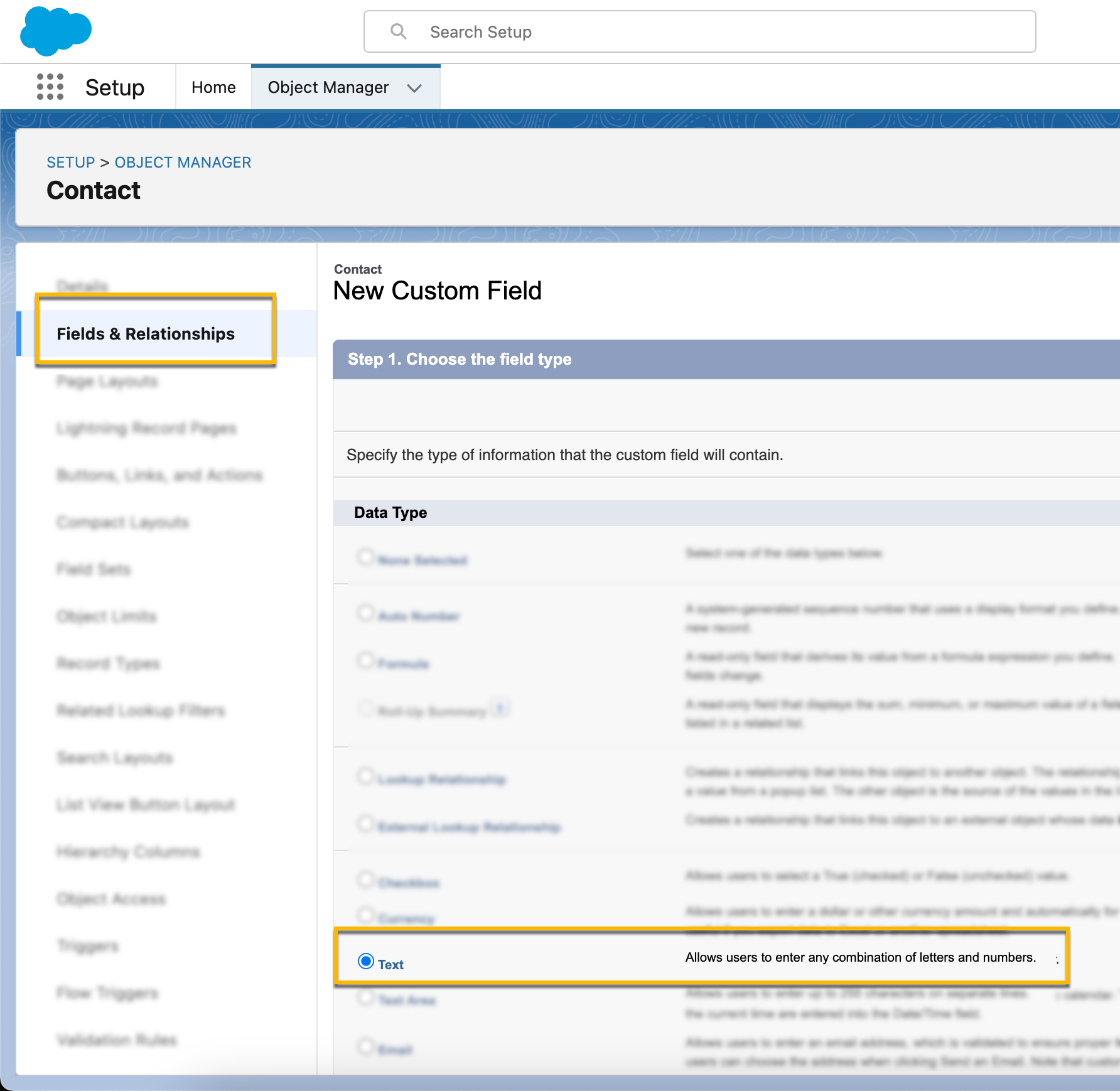Text option selected from list of new custom field types