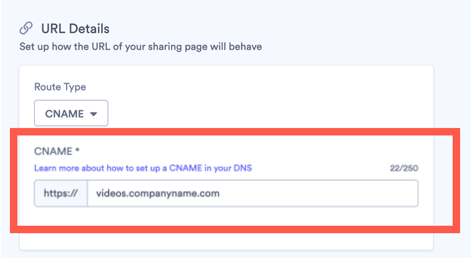 Vidyard CNAME selected in sharing page URL details section