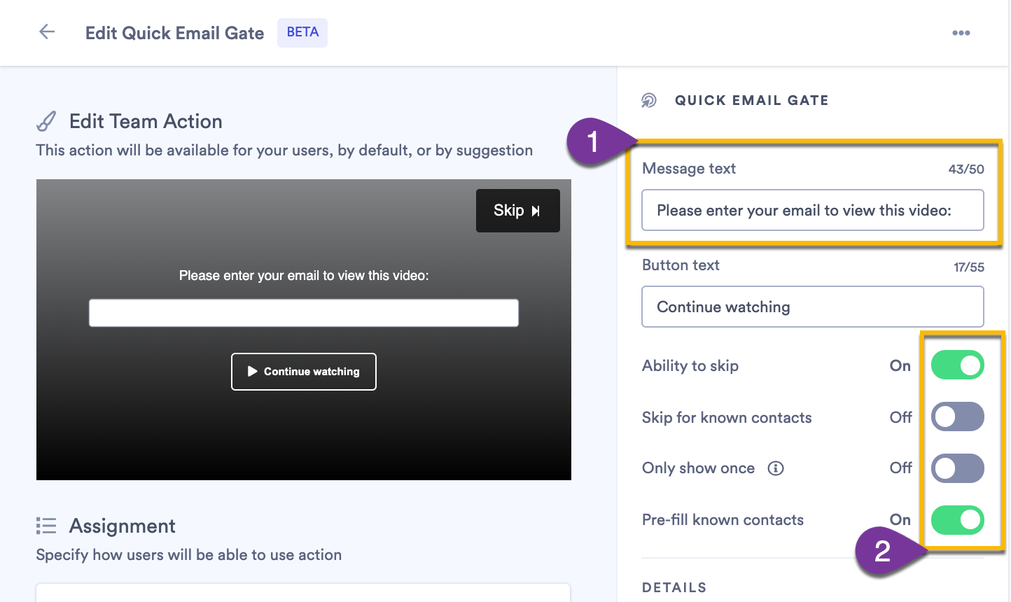 Text and settings toggle sections of an action's customization bar on the right-hand side