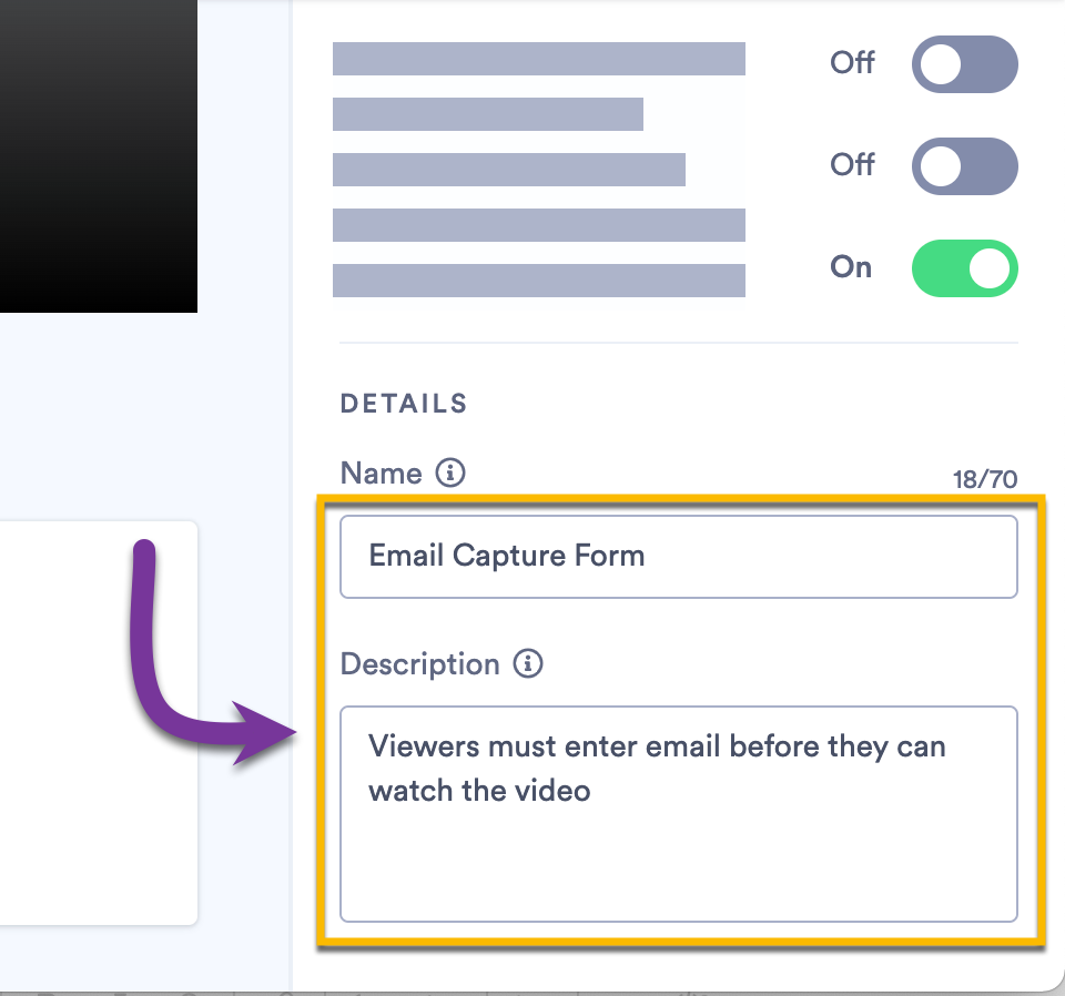 Details section of an action's customization bar where you can enter a name and description