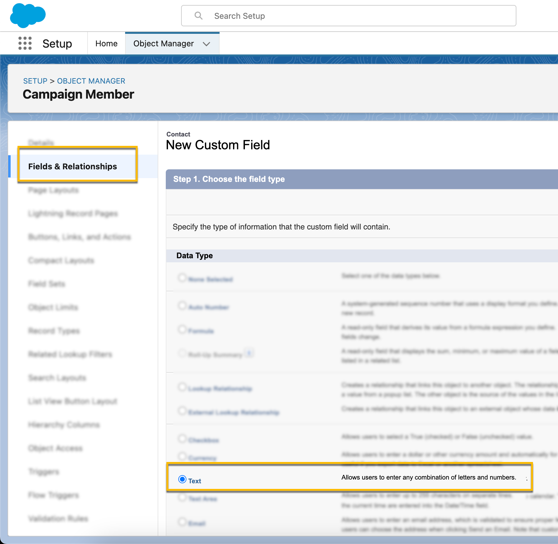 Text option selected from list of new custom field types