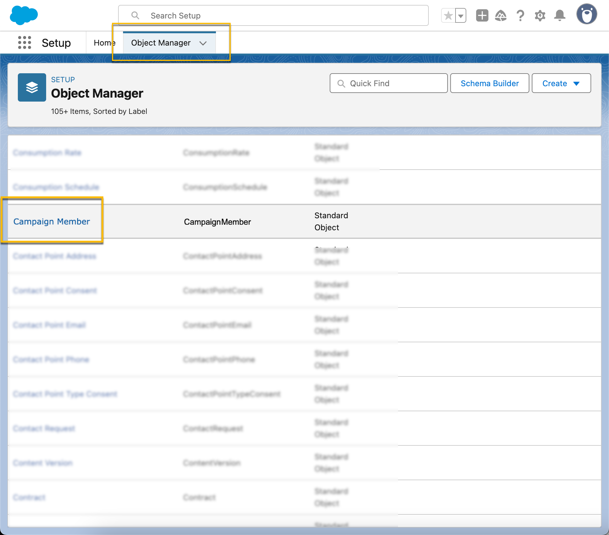 Campaign member object selected from list of objects in Salesforce object manager