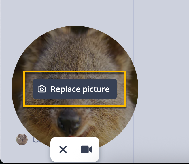 Vidyard profile picture in browser extension with button to replace picture available on hover.