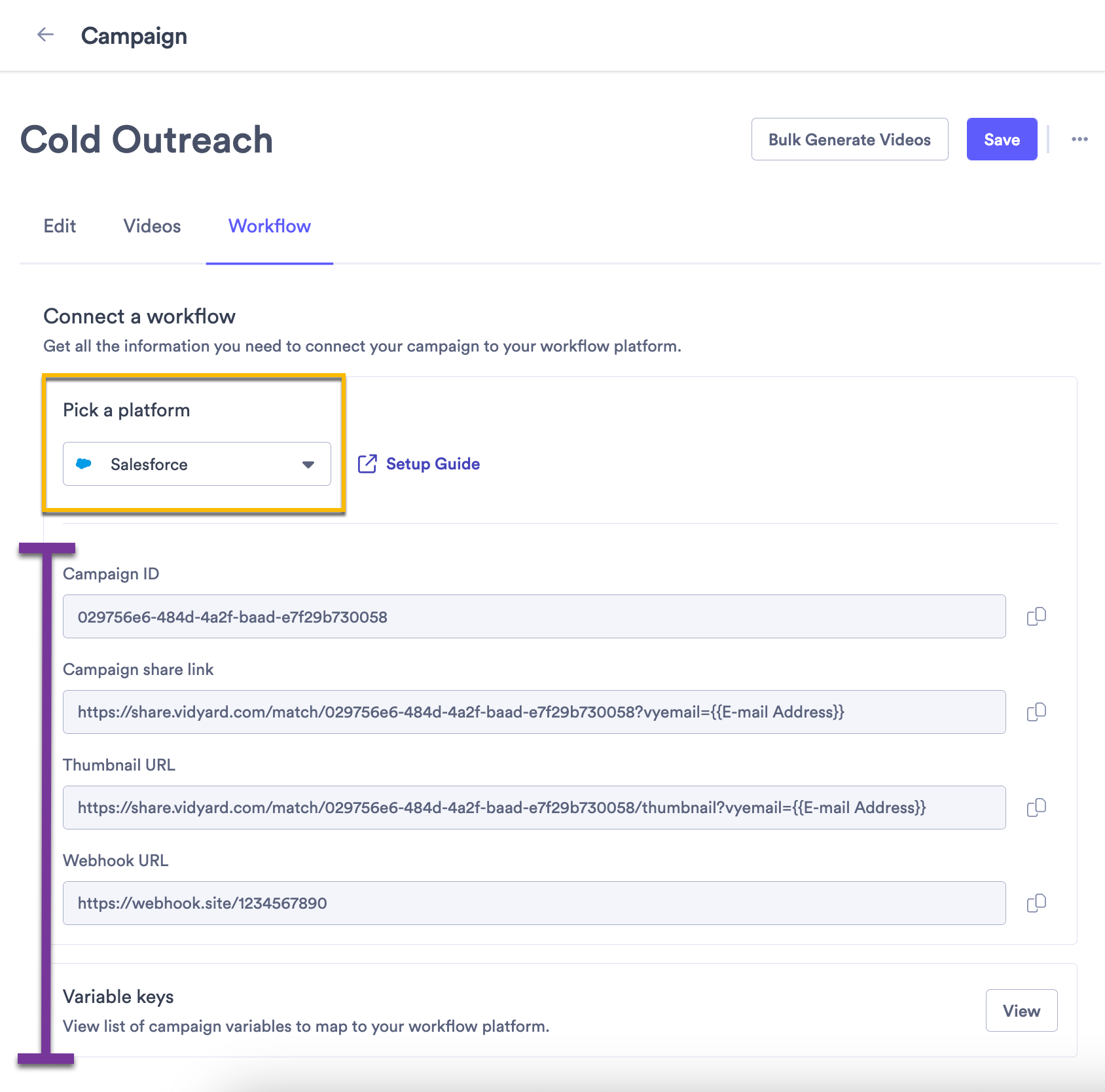 Vidyard campaign workflow with Salesforce selected from platform dropdown and important values highlighted