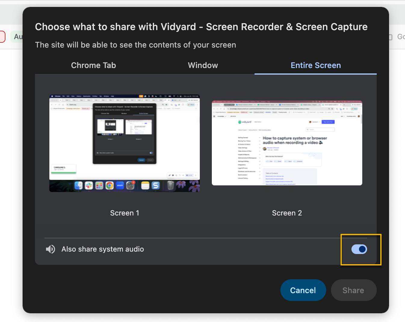 Browser sharing options with toggle to share system audio enabled