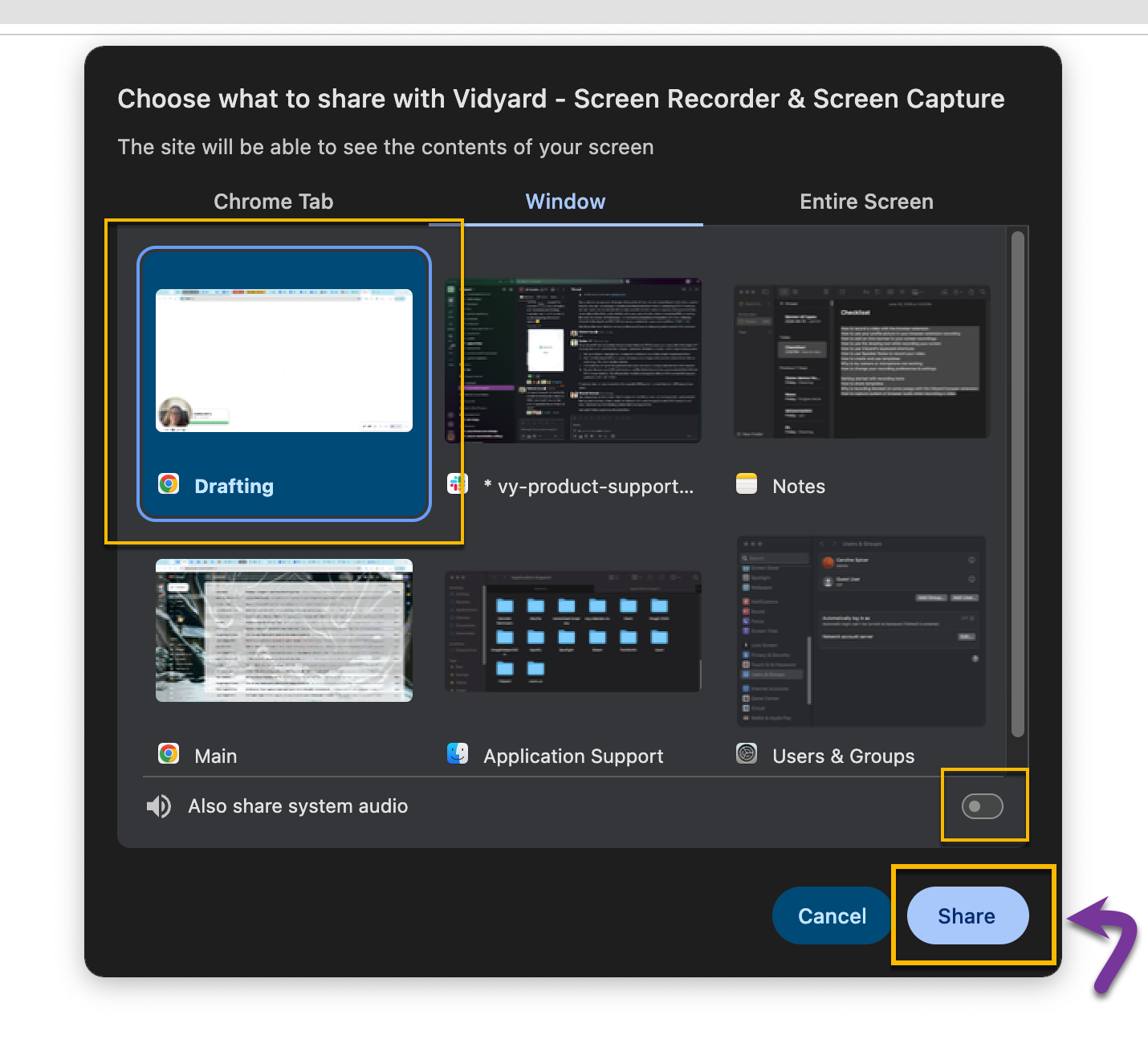 Chrome screen sharing options with tab selected and audio toggle turned on