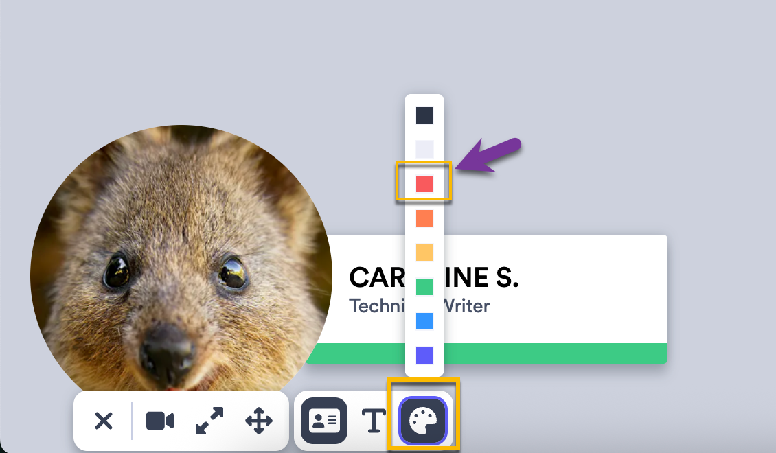 Color selector palette pressed in Vidyard name tag settings, to the right of camera bubble