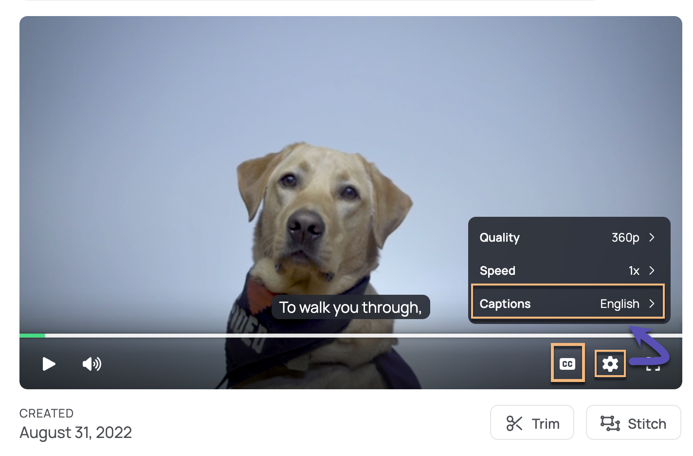 Video player with captions, caption button enabled and settings window open showing language options