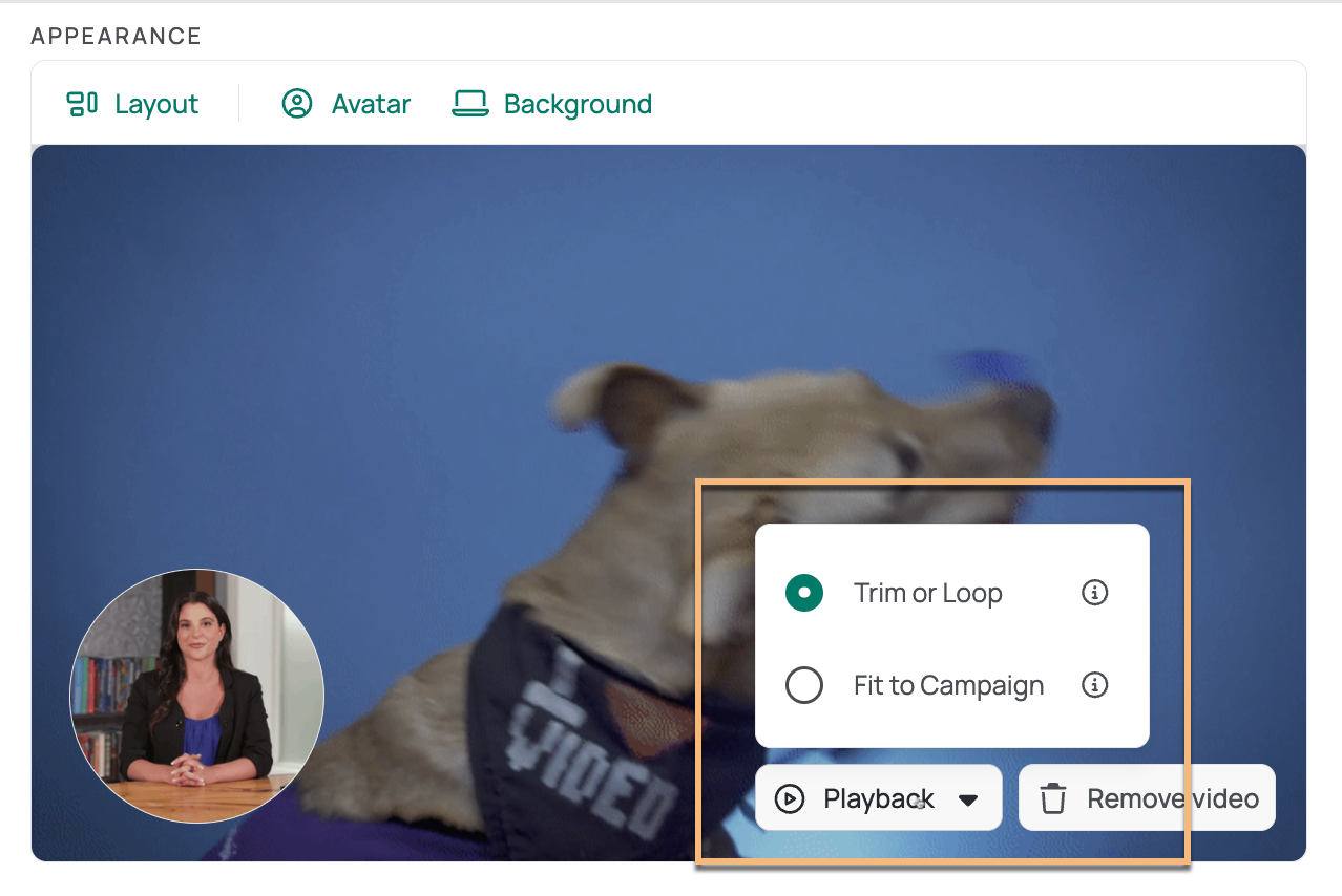 Campaign video appearance preview with option to select between background video playback styles